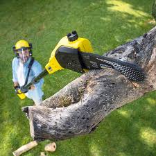 Best Tree and Shrub Care  in Strongsville, OH